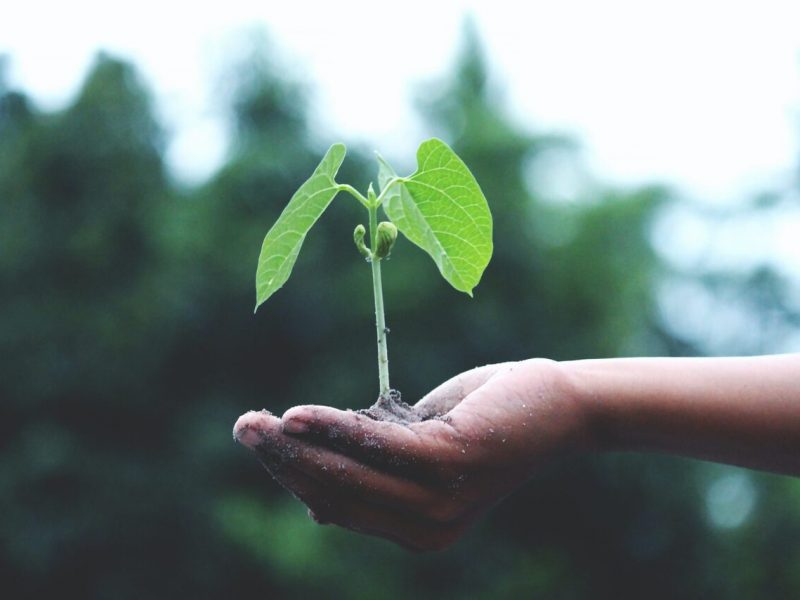 Responsables con el medioambiente